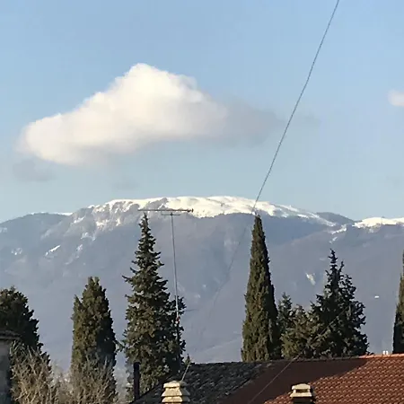 Alle Corti